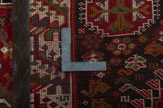 Shiraz - 9