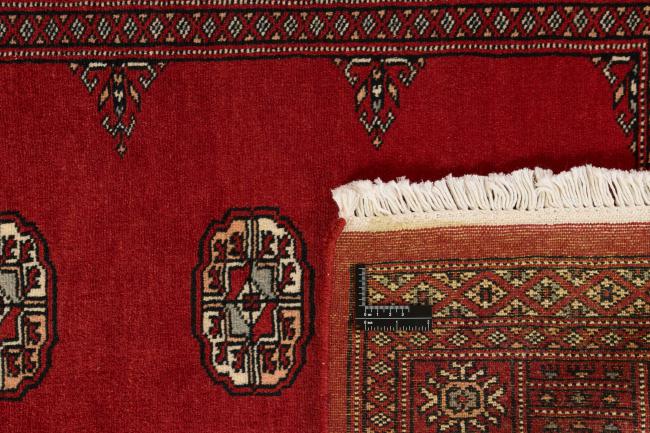 Pakistan Buchara 2ply - 1