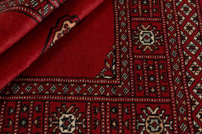 Pakistan Buchara 2ply - 2