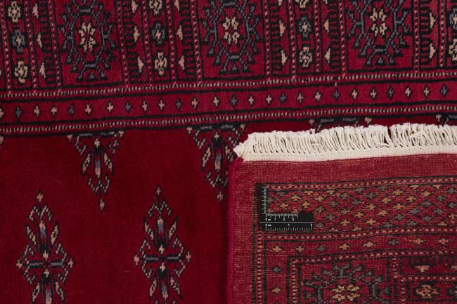 Pakistan Buchara 2ply - 1