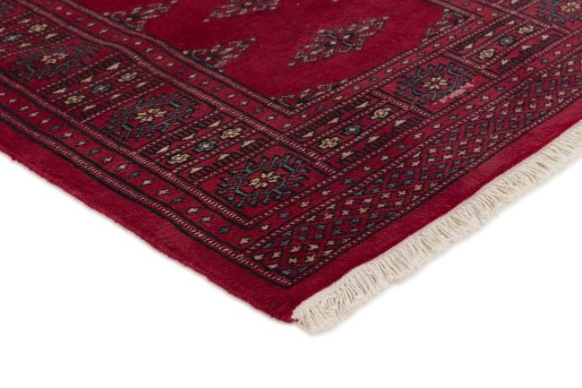 Pakistan Buchara 2ply - 3