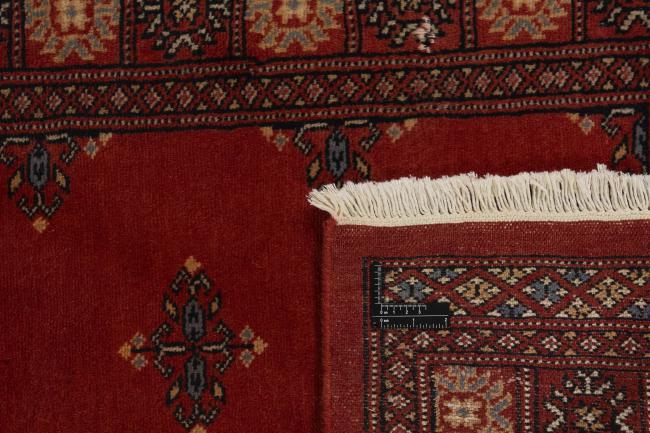 Pakistan Buchara 3ply - 1