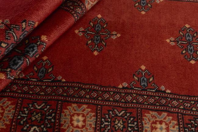 Pakistan Buchara 3ply - 2