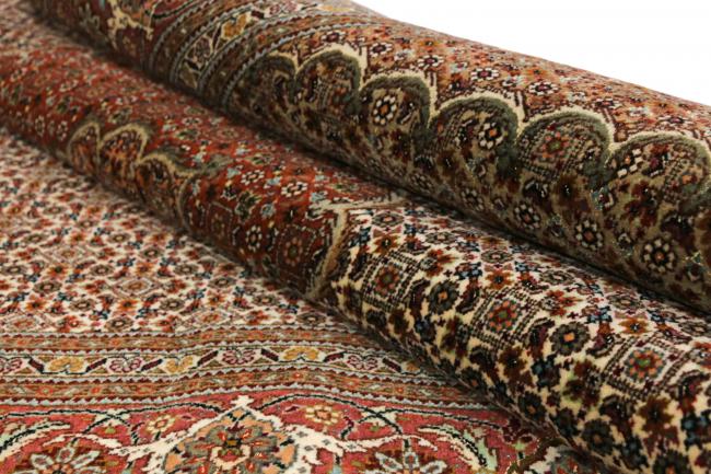 Tabriz Mahi - 9