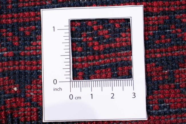 Afghan Mauri - 4