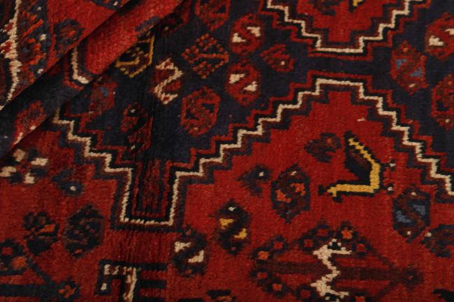 Shiraz - 2