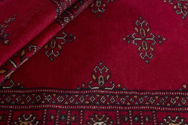 Pakistan Buchara 2ply - 2