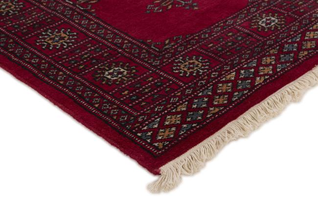 Pakistan Buchara 2ply - 3