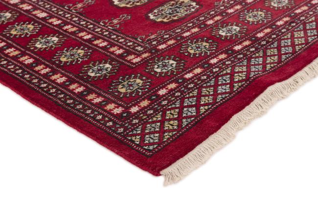 Pakistan Buchara 2ply - 3