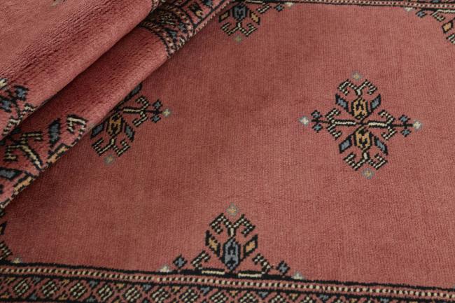 Pakistan Buchara 3ply - 2