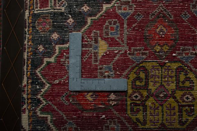 Shiraz - 4
