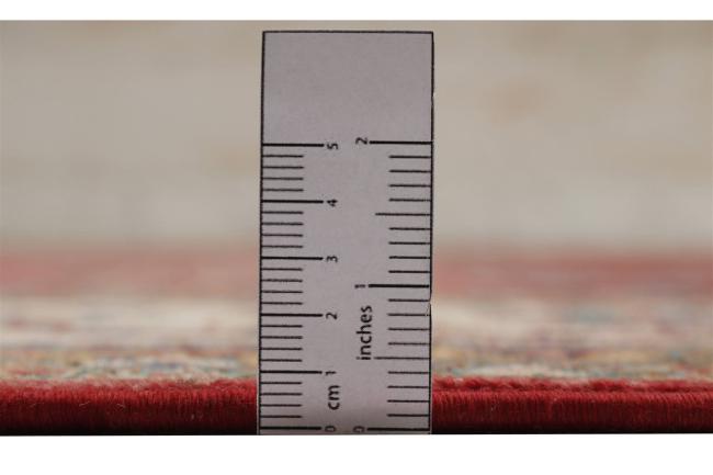 Arijana - 3