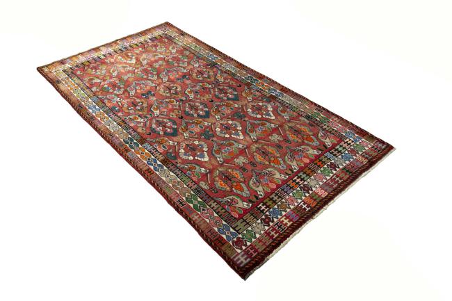 Shiraz - 3