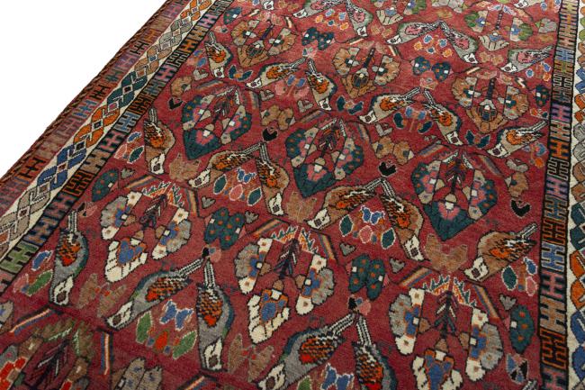 Shiraz - 5