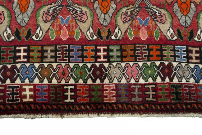 Shiraz - 6