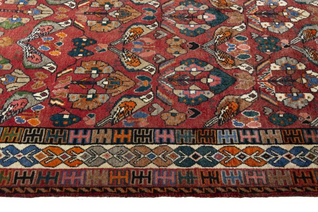 Shiraz - 7