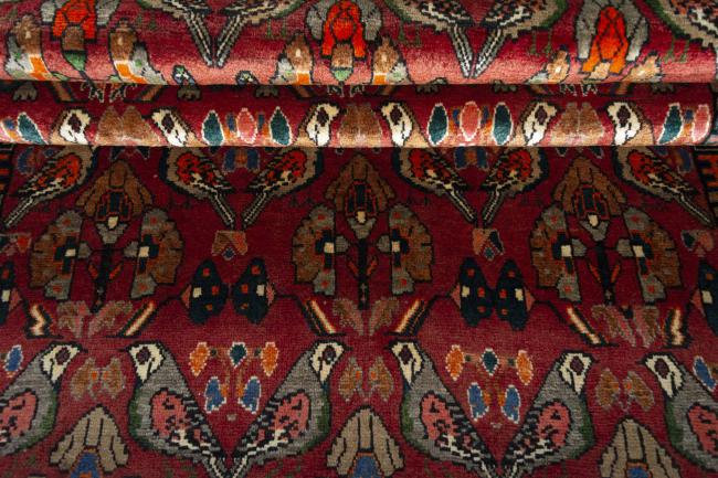 Shiraz - 8