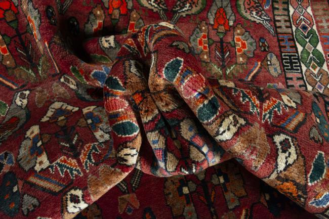 Shiraz - 9