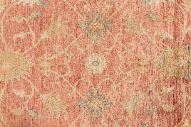 Ziegler Farahan - 6