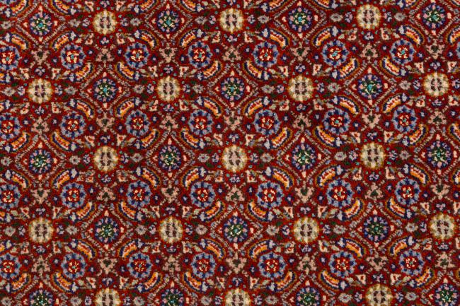 Moud - 7