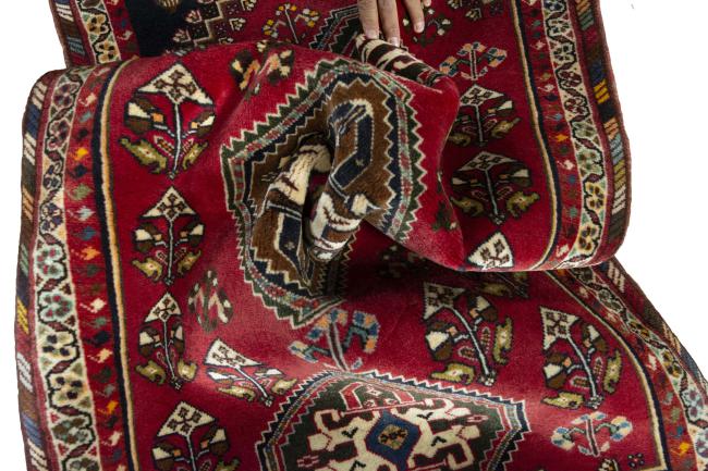 Shiraz - 9