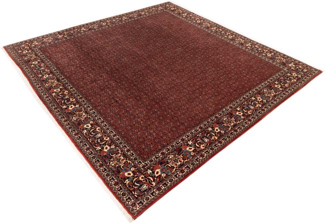 Bidjar - 2