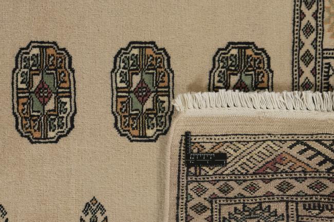 Pakistan Buchara 2ply - 1