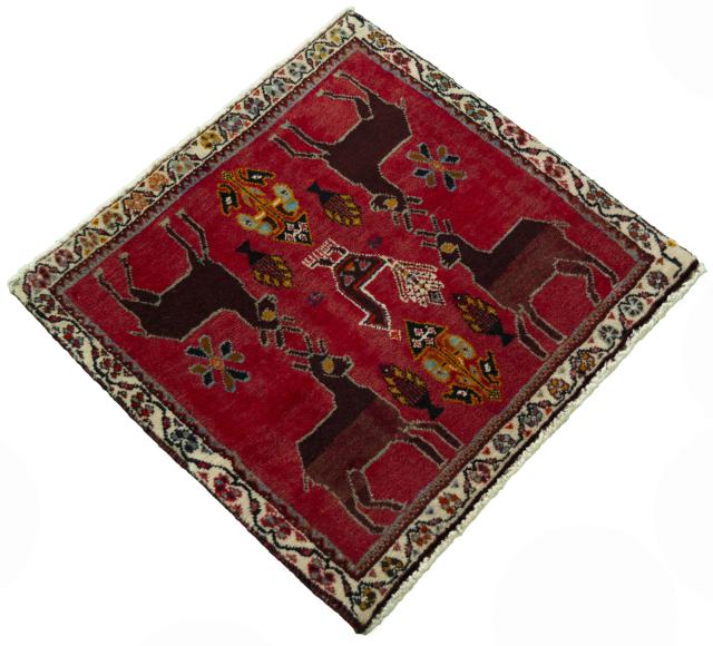 Shiraz - 2