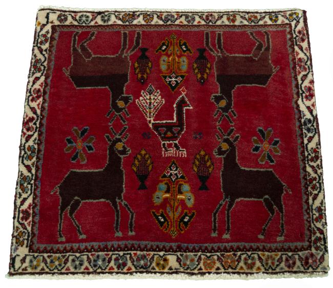 Shiraz - 3