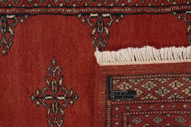 Pakistan Buchara 2ply - 1