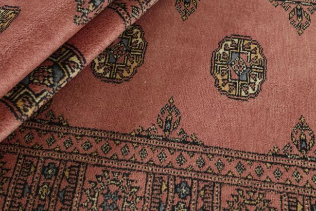 Pakistan Buchara 3ply - 2