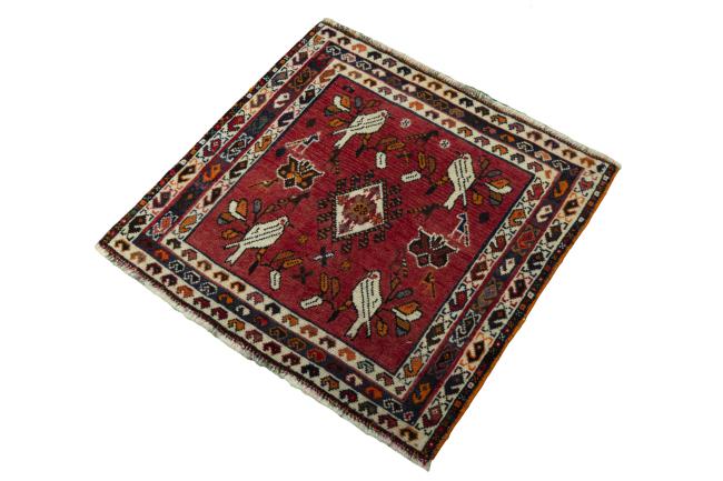 Shiraz - 1
