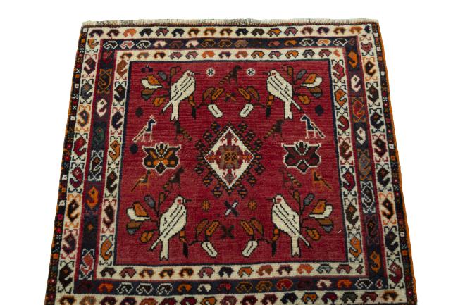 Shiraz - 3