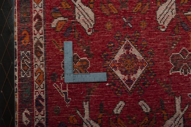 Shiraz - 4