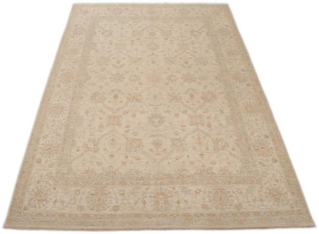 Ziegler Farahan - 4