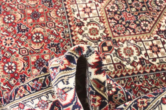 Indo Bidjar Super - 10