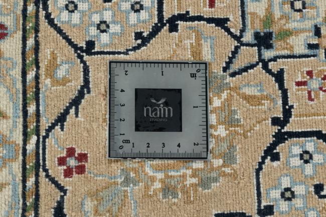 Indo Nain - 12