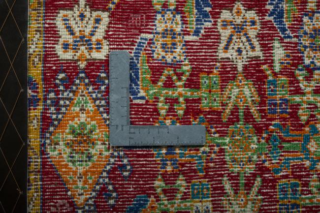 Shiraz - 4