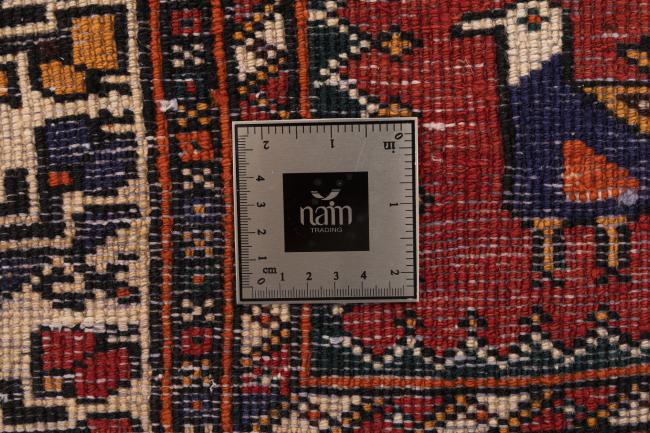 Shiraz - 8