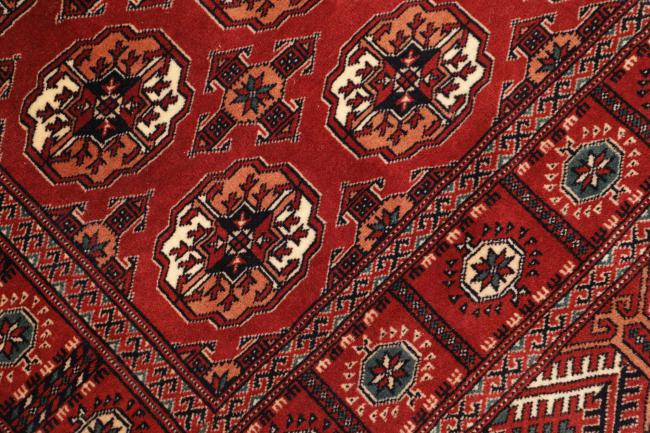 Turkaman - 5