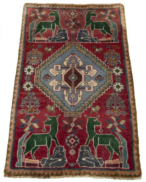 Shiraz - 3