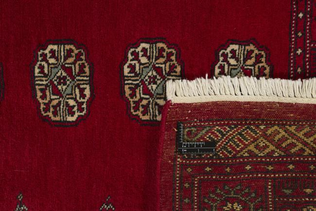 Pakistan Buchara 2ply - 1