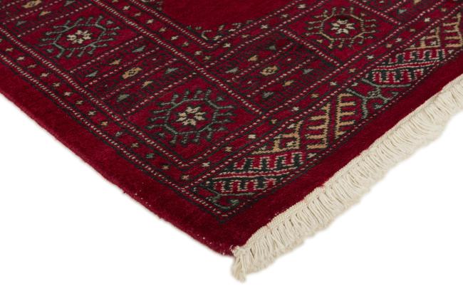 Pakistan Buchara 2ply - 3