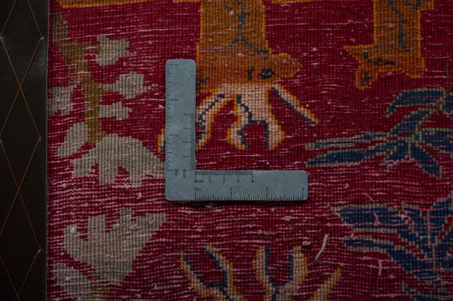 Shiraz - 4