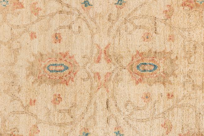 Ziegler Farahan - 6