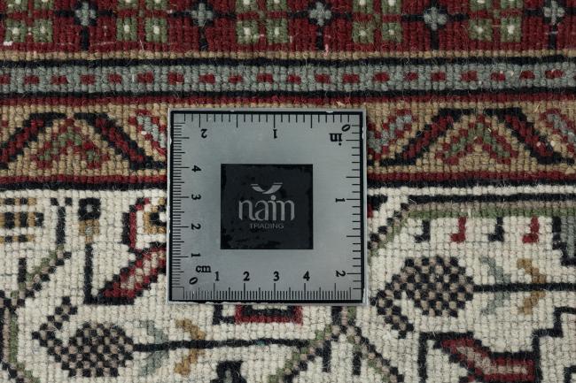Indo Mir - 11