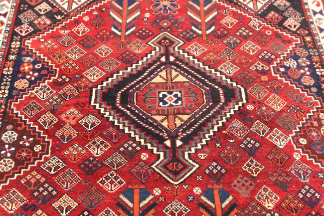Shiraz - 4