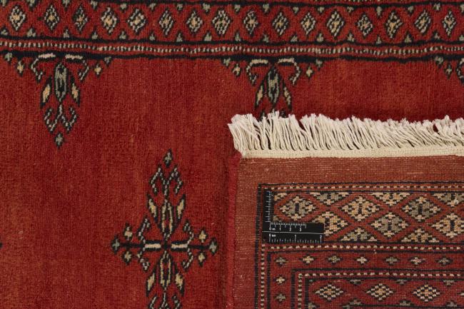 Pakistan Buchara 2ply - 1