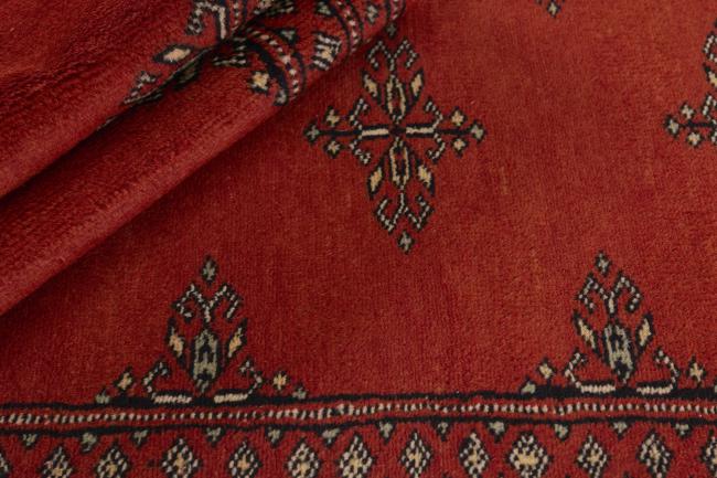 Pakistan Buchara 2ply - 2
