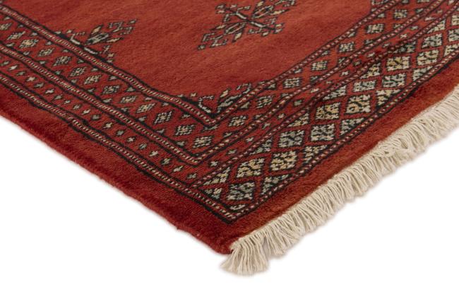 Pakistan Buchara 2ply - 3